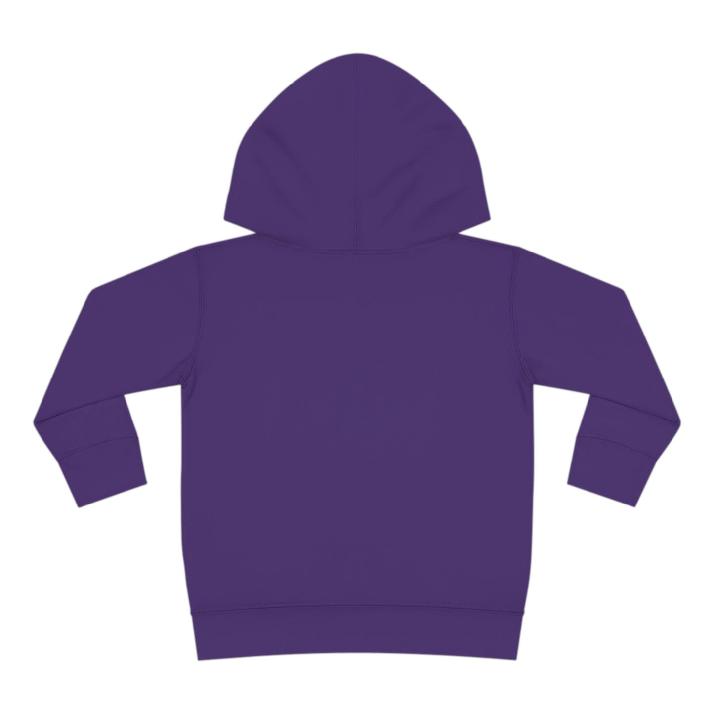 Sorcerer Toddler Pullover Fleece Hoodie