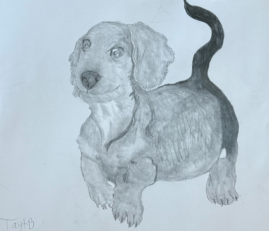 Puppy Dog Original Artwork by Taytem Barth